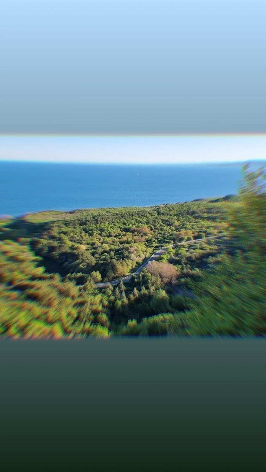Плажът и гората над Обзор